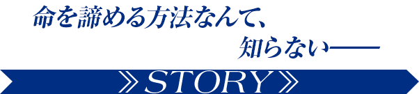 STORY